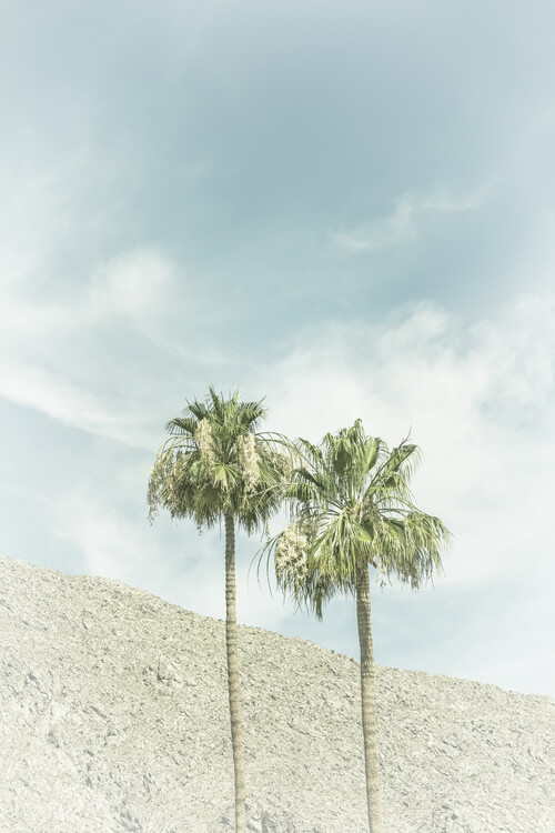 Umjetnička fotografija Palm Trees in the desert | Vintage