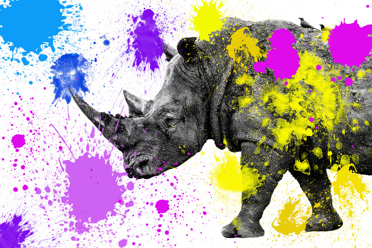 Umělecká fotografie Rhino
