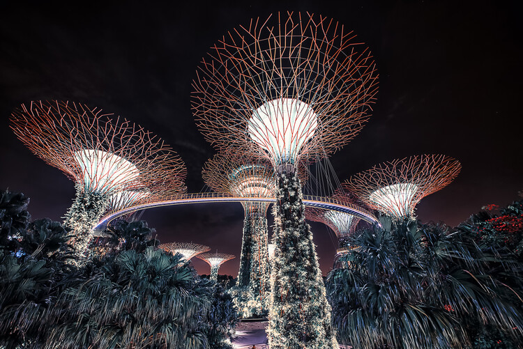 Obraz na plátně Singapore Night
