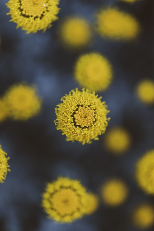 Kunstfotografie Texture of yellow flowers