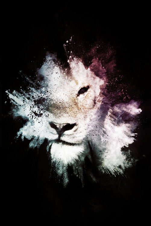 Umetniška fotografija The Lion