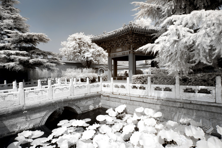 Artă fotografică White Lotus Temple
