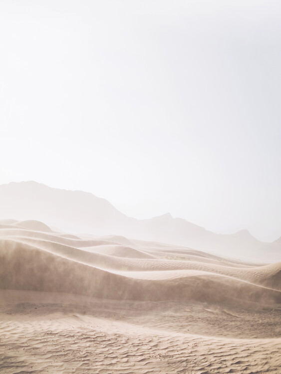 Canvas Windy Desert