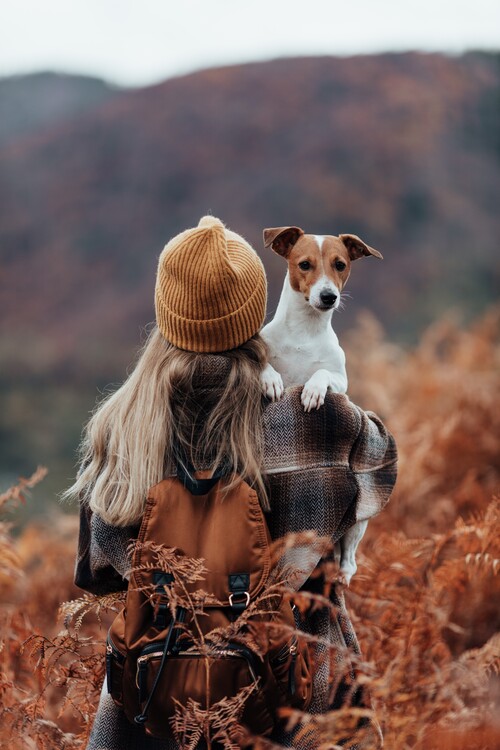 Umělecká fotografie Woman traveling with her dog