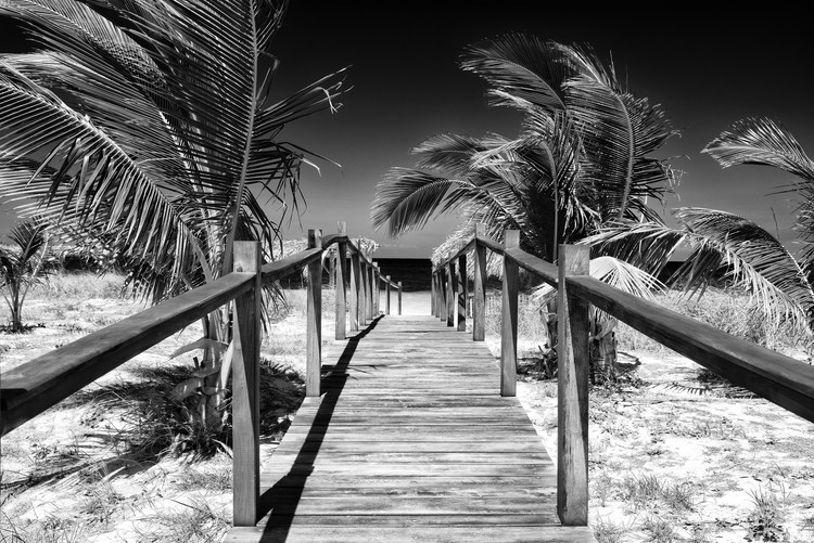 Umělecká fotografie Wooden Pier on Tropical Beach