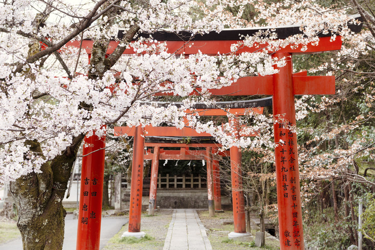 Umjetnička fotografija Yoshida Shrine Torii