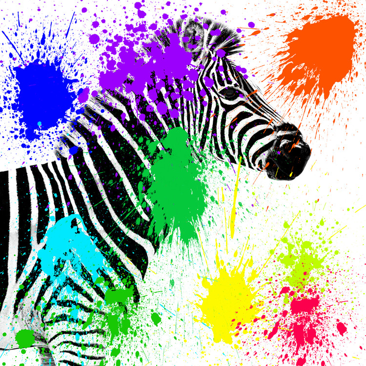 Fotografia artystyczna Zebra Profile