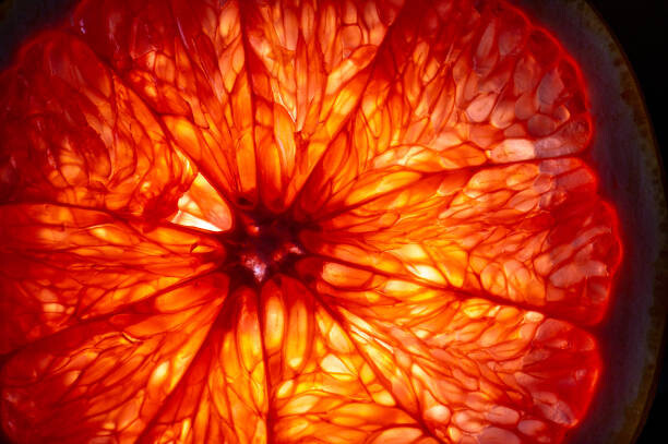 Sticker Mature orange fruit slice back lit