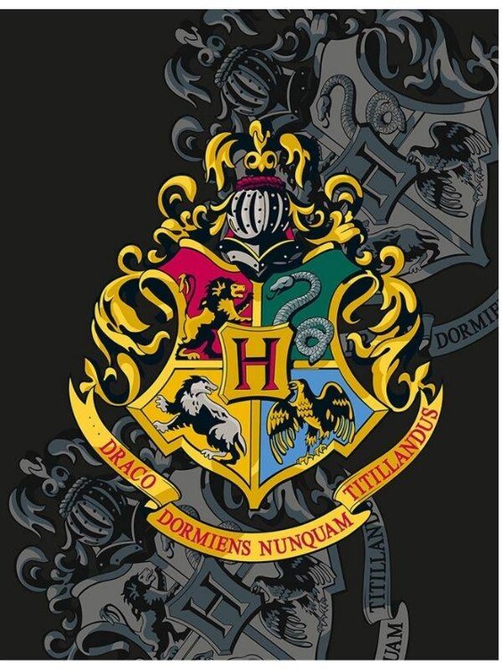 Lenzuolo Harry Potter - Hogwarts