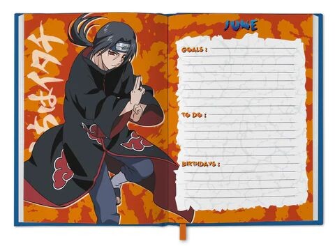 Дневник Naruto Shippuden