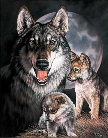 Metalni znak GRAHAM - Wolf Experience