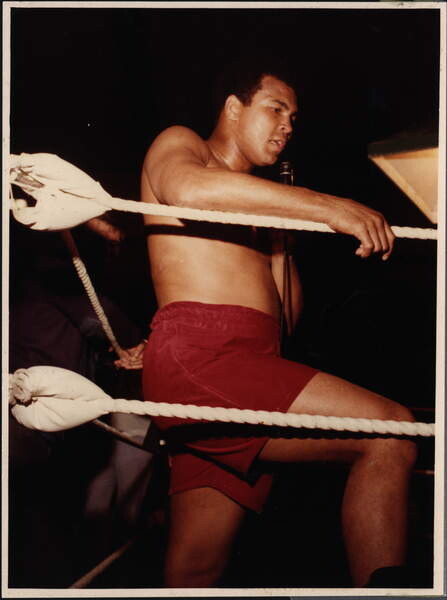 Samolepka Muhammad Ali