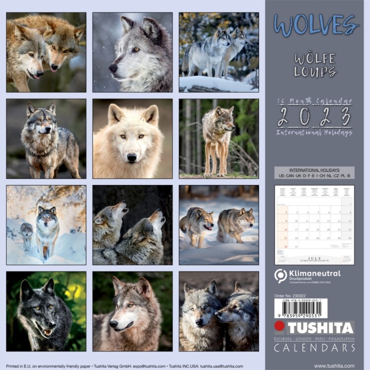 Wolves Falinapt rak 2023 Vedd Meg Az Europosters