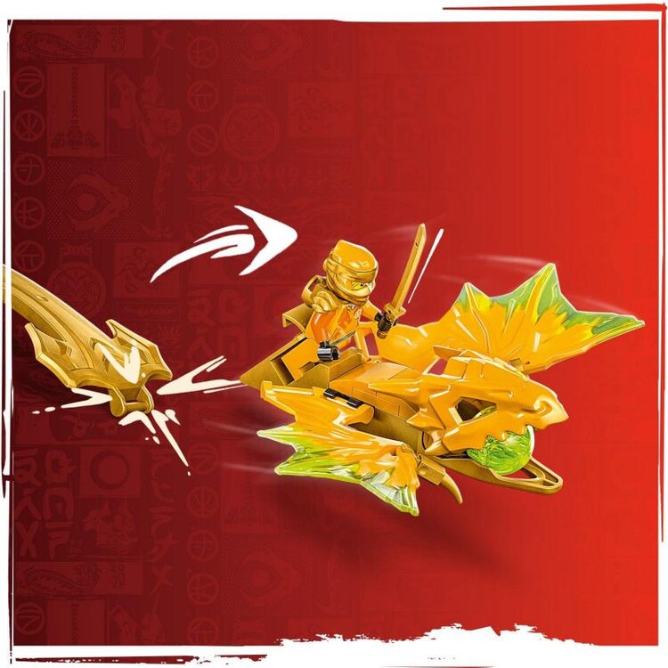 LEGO Ninjago - Arin and the Dragon Attack 71803 | Poster, Geschenke