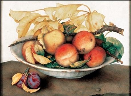 Bowl with Peaches and Plums, Obrazová reprodukcia