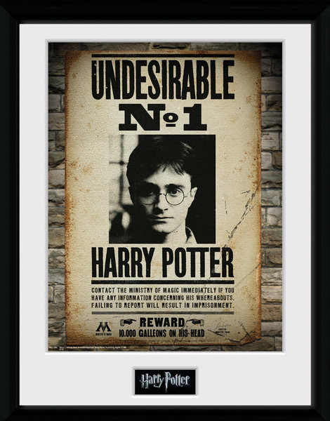 Zarámovaný plagát Harry Potter - Undesirable No 1