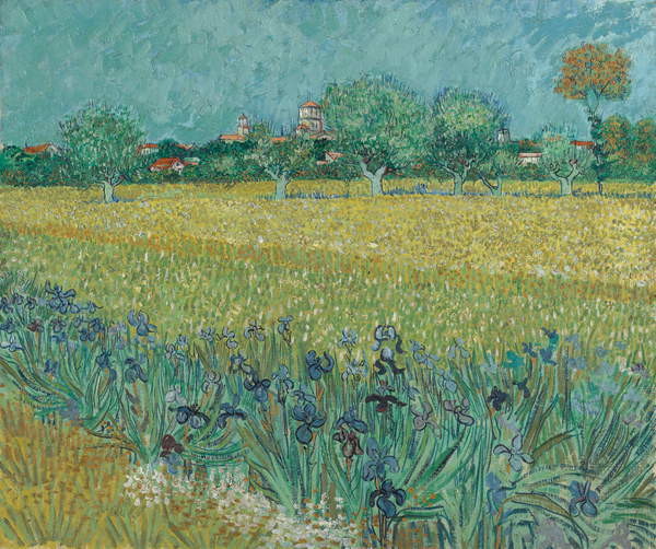 Obraz na plátně Field with Flowers near Arles, 1888