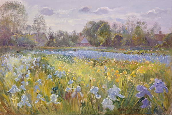 Obraz na plátně Iris Field in the Evening Light, 1993