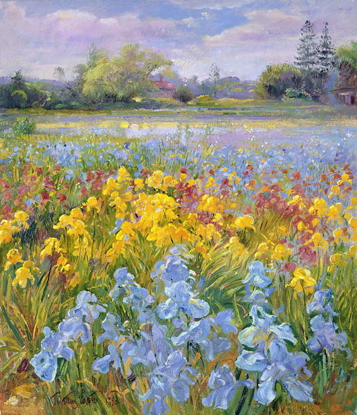 Obraz na plátně Irises, Willow and Fir Tree, 1993