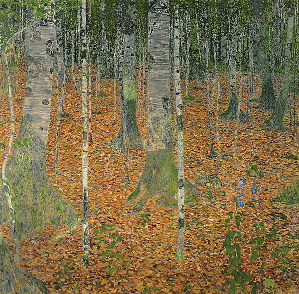 Obraz na plátně The Birch Wood, 1903