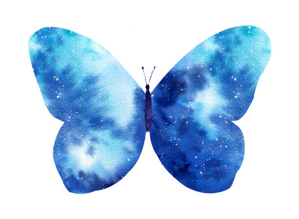 Obraz na plátně Watercolor galaxy butterfly isolated on the