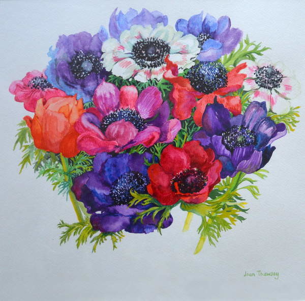 Obraz na plátně Anemones: red, white, pink and purple, 2000,