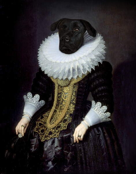 Obraz na plátně Anouk, 2015