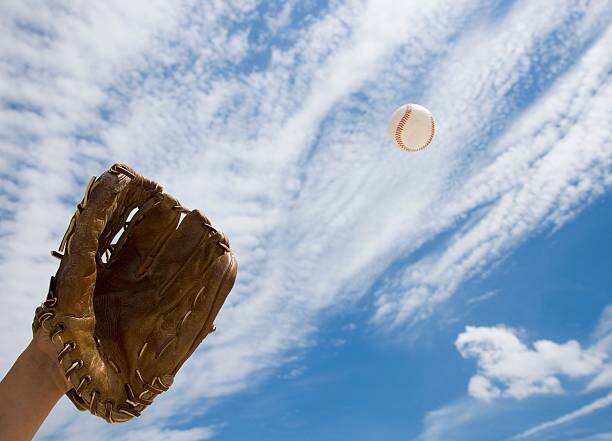 Obraz na plátně Apple on plate