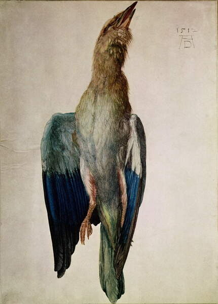 Obraz na plátně Blue Crow, 1512