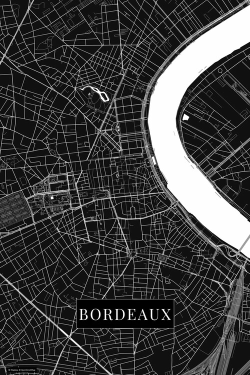 Obraz na plátně Bordeaux black