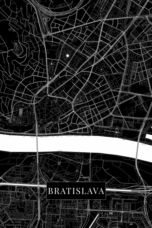 Obraz na plátně Bratislava black