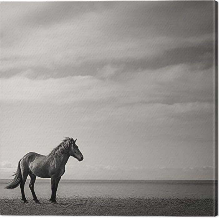 Obraz na plátně Carys Jones - Contemplation