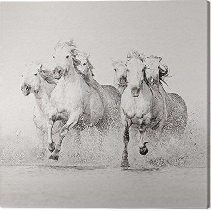 Obraz na plátně Carys Jones - Splash