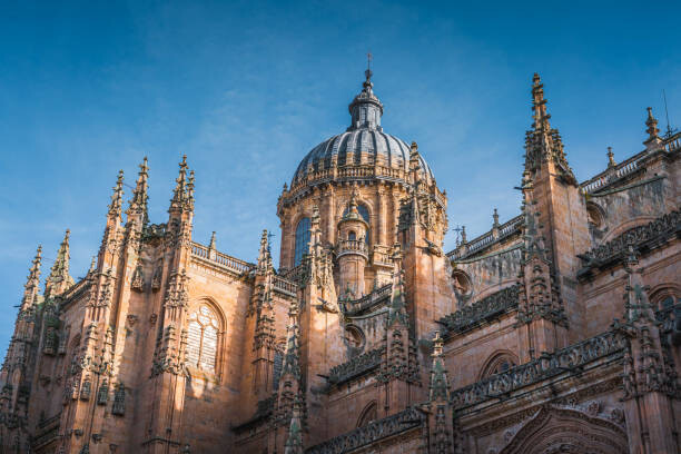 Obraz na plátně Close up view of Salamanca Cathedral