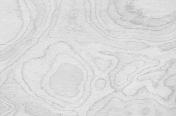 Obraz na plátně Closeup surface abstract wood pattern at