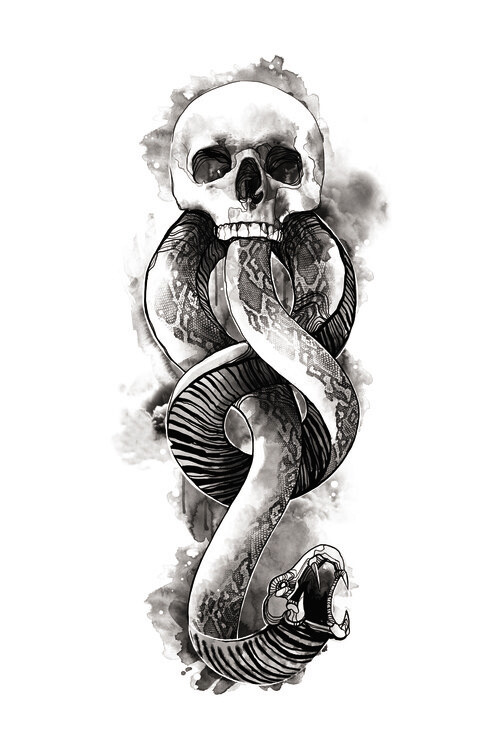 Obraz na plátně Death Eater Symbol