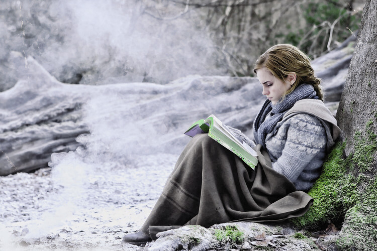 Obraz na plátně Deathly Hallows - Hermione