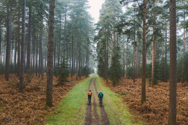 Obraz na plátně Drone view of two cyclists on forest track