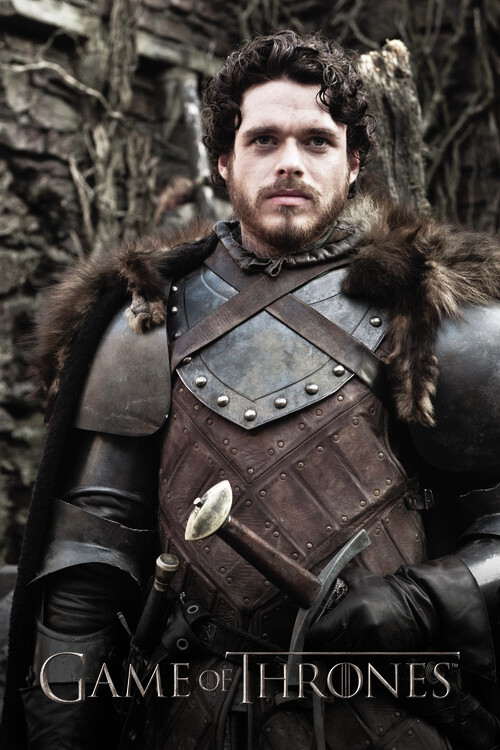 Obraz na plátně Game of Thrones - Robb Stark