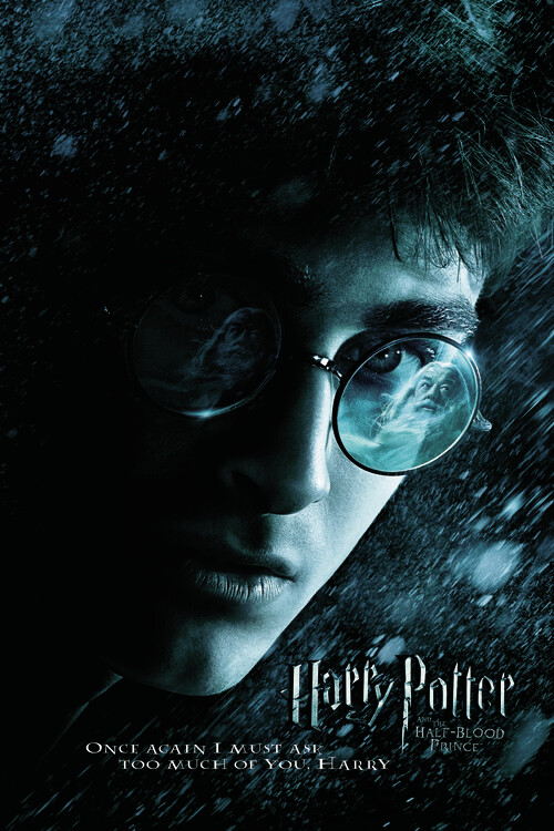 Obraz na plátně Harry Potter and The Half-Blood Prince