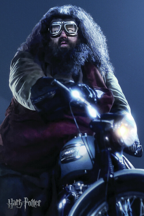 Obraz na plátně Harry Potter - Hagrid