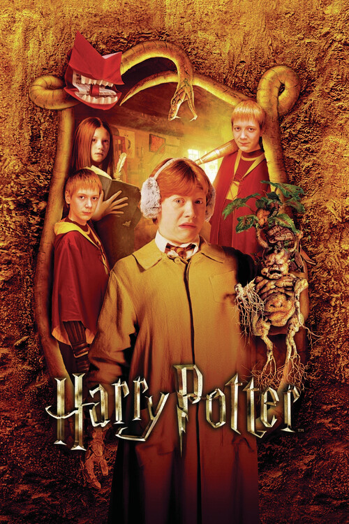 Obraz na plátně Harry Potter -The Weasleys
