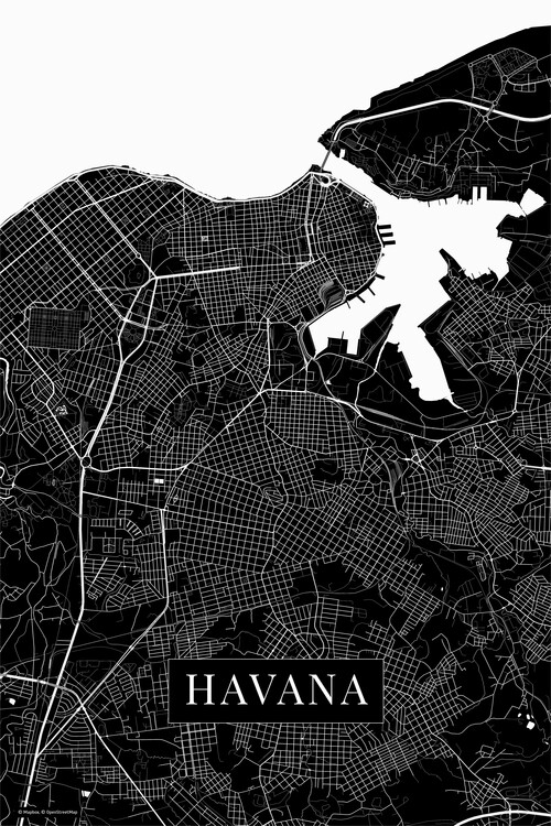 Obraz na plátně Havana black