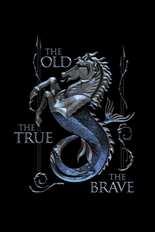 Obraz na plátně House of the Dragon - Velaryon