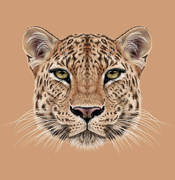 Obraz na plátně Illustrative Portrait of Leopard