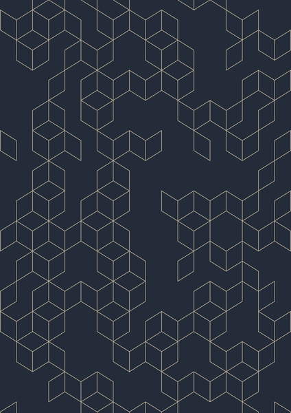 Obraz na plátně Keziah - Night