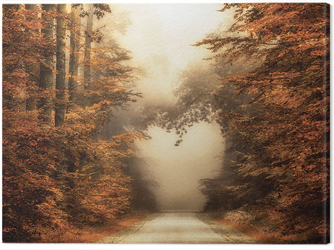 Obraz na plátně Lars Van De Goor - Fall In Love