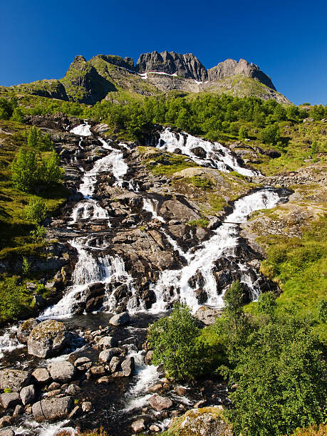 Obraz na plátně Lofoten mountains landscape