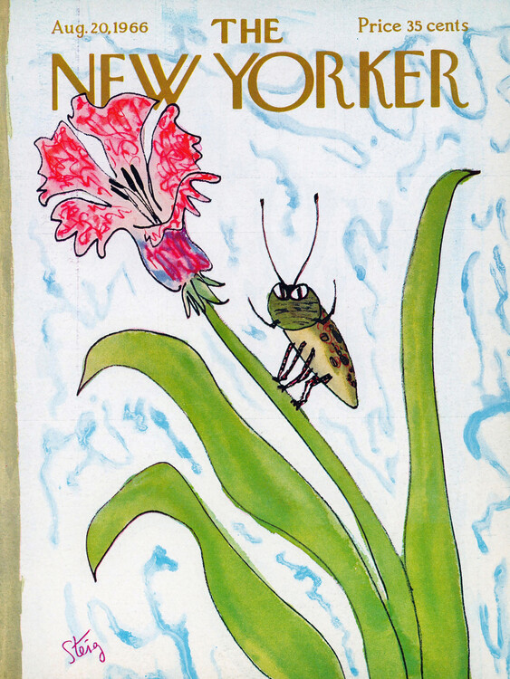 Obraz na plátně Magazine Cover 23