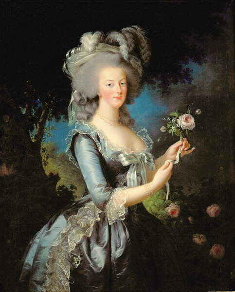 Obraz na plátně Marie Antoinette with a Rose, 1783